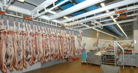 Дезинсекция на мясокомбинате в Коломне, цены на услуги