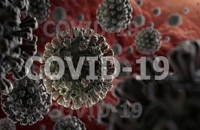 Цены на дезинфекцию от коронавируса COVID-19